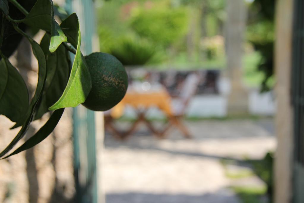 Bed and Breakfast Parco Degli Aranci Кутрофьяно Экстерьер фото